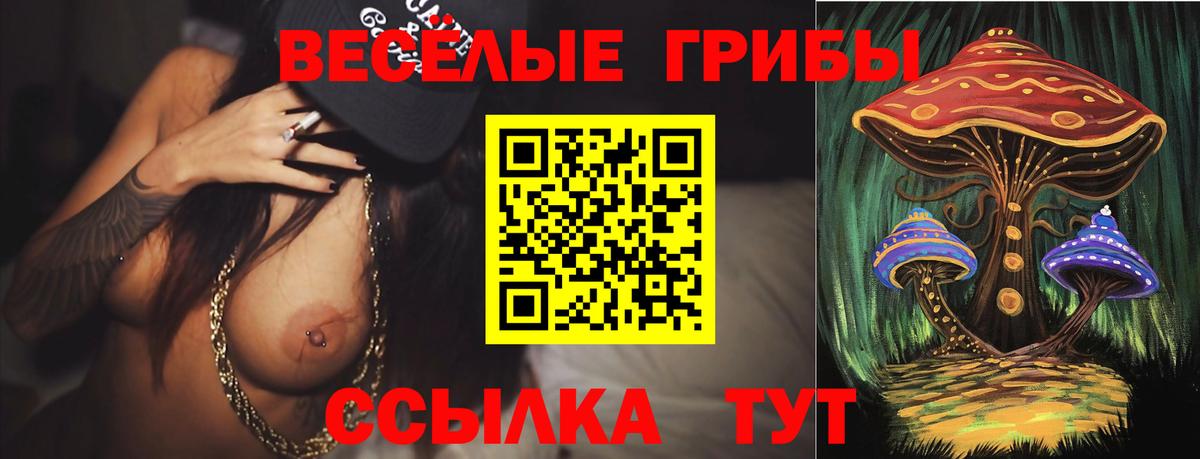 Галлюциногенные грибы прущие грибы  Вход с VPN  где найти   Волгоград  Псилоцибиновые грибы Cubensis 
